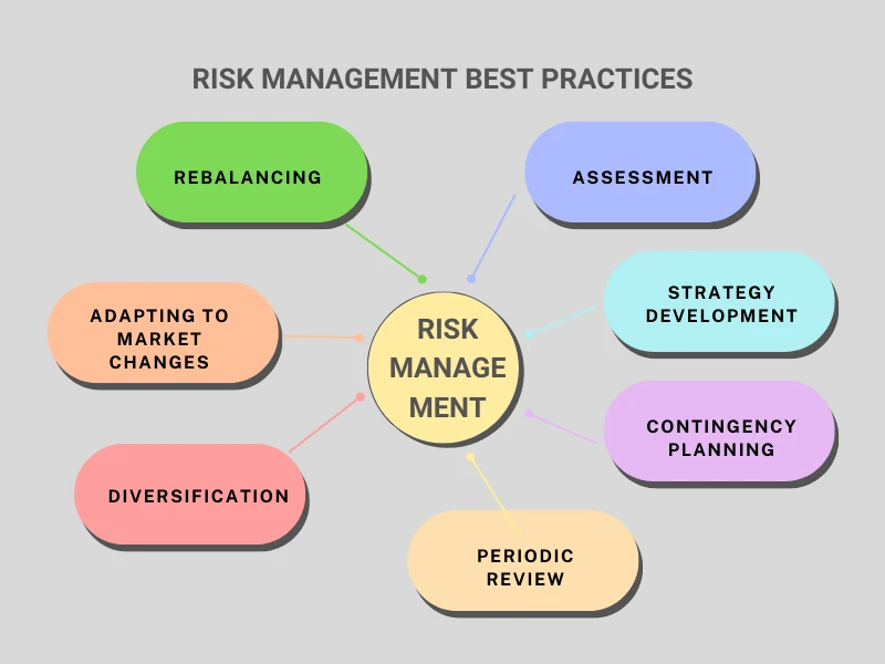 Risk Management Best Practices info-graphic image